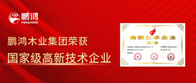 榮譽即使命——鵬鴻獲國家級高新技術(shù)企業(yè)認定